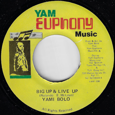 Big Up And Live Up / Hypocritical Scoundrel Ver