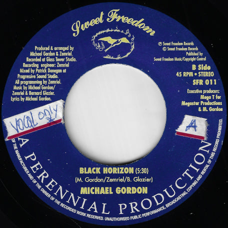 Black Horizon / Struggling
