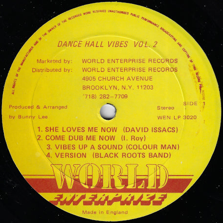 Dance Hall Vibes Vol 2