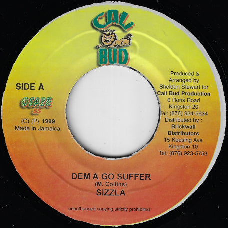Dem A Go Suffer / Zion