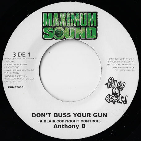 Dont Buss Your Gun / Train To Zion Dub