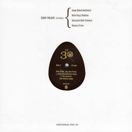 ZION TRAIN REMIXES Dry Your Tears / No ID