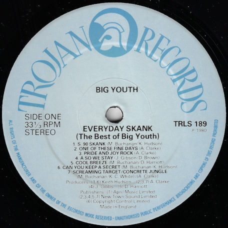 Everyday Skank (The Best Of Big Youth)