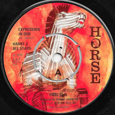 Expression In Dub / Skank Indigo