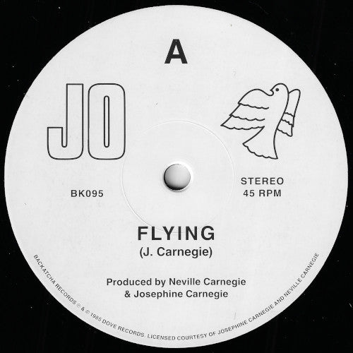 Flying / Inst