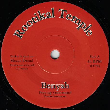 Free Up Your Mind Trumpet Version / Dub