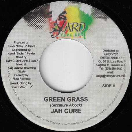 Green Grass / Mission Ver