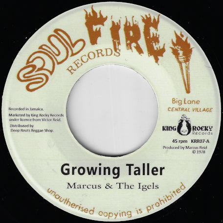 Growing Taller / Studio Works Ver