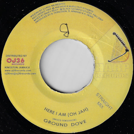 Here I Am (Dubwize Mix) / Here I Am (Straight Mix)