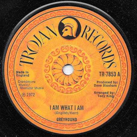 I Am What I Am / Sky High
