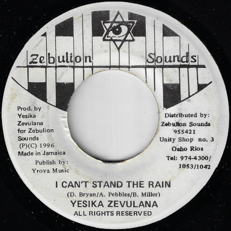 I Can't Stand the Rain / Ver