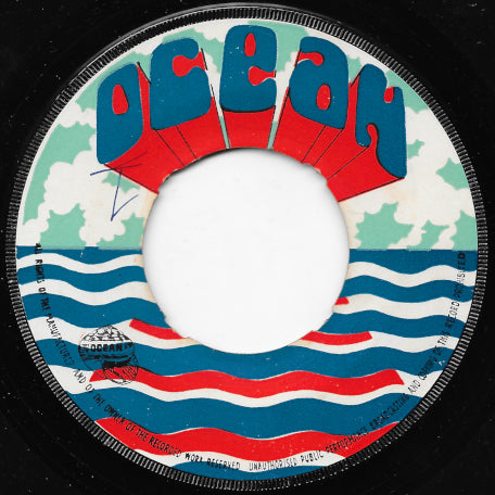 I Like The Way (You Hug And Kiss Me) / Tell Me Why