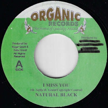 I Miss You / Ver
