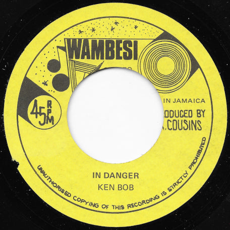 In Danger / Ver