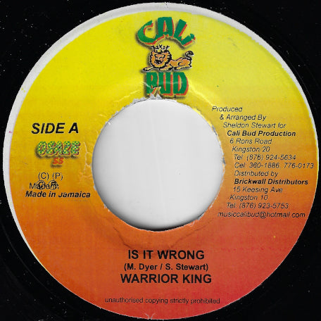 Is It Wrong / Ver
