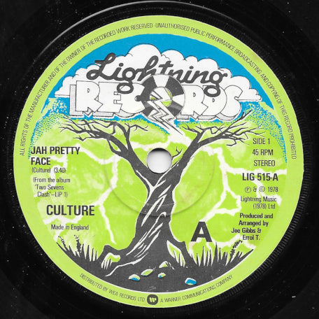 Jah Pretty Face / Natty Dread Taking Over