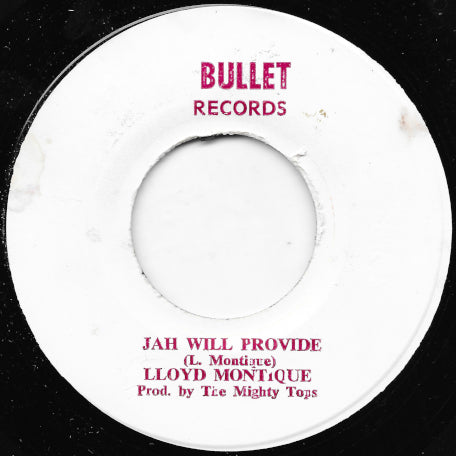 Jah Will Provide / Provide In Dub
