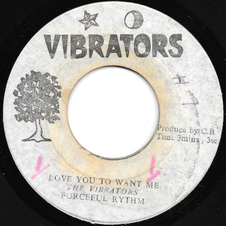 Love You To Want Me / Ver