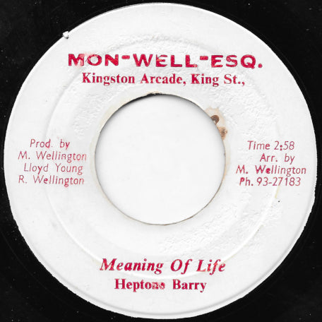 Meaning Of Life / Jockey Skank