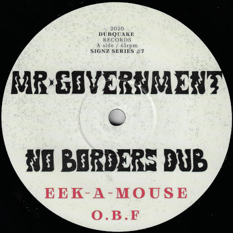 Mr Government / No Borders Dub / Dub The Government