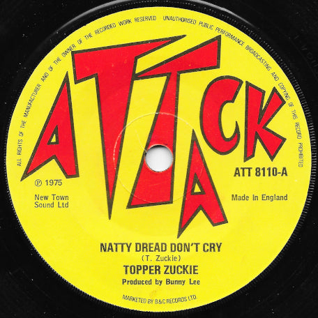 Natty Dread Dont Cry / The Meducia