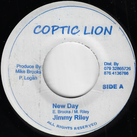 New Day / Steper Dub