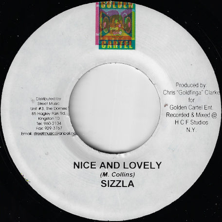 Nice And Lovely / Pure Joy Rhythm