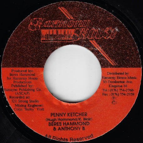 Penny Ketcher / Rhythm