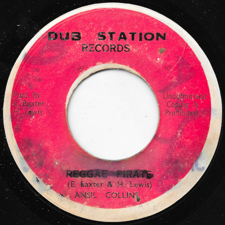 Reggae Pirate / Mr DJ