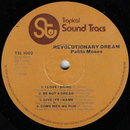 Revolutionary Dream