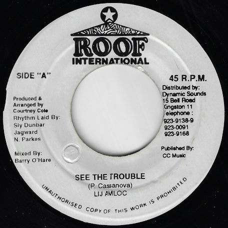 See The Trouble / Ver