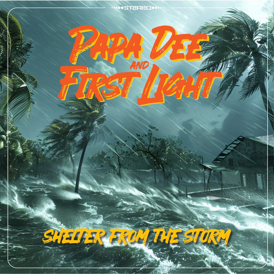 Shelter From The Storm / Dub From The Storm / Original Nox Mix / Acoustic Vibes Mix / Gimmie Dub