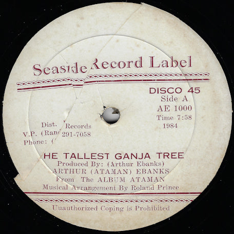 The Tallest Ganja Tree / Rastaman Instrumental