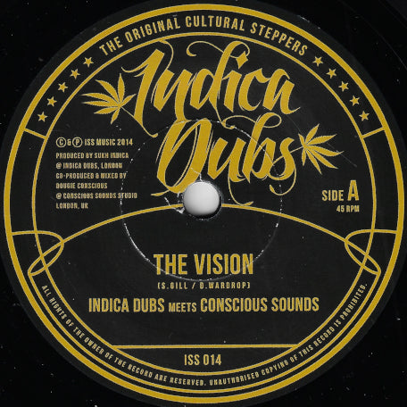 The Vision / Vision Of Dub