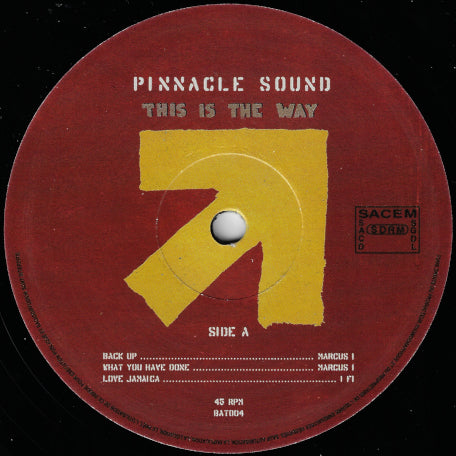 THIS IS THE WAY Back Up / What You Have Done / Love Jamaica / My Heart Is Broken / Yilili