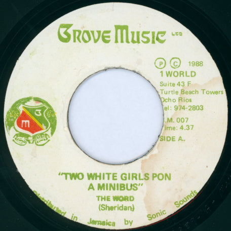 Two White Girls Pon A Mini Bus / Ver