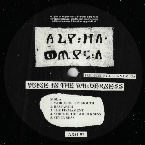 Voice In The Wilderness
