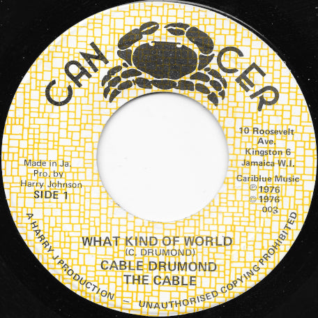 What Kind Of World / World Dub