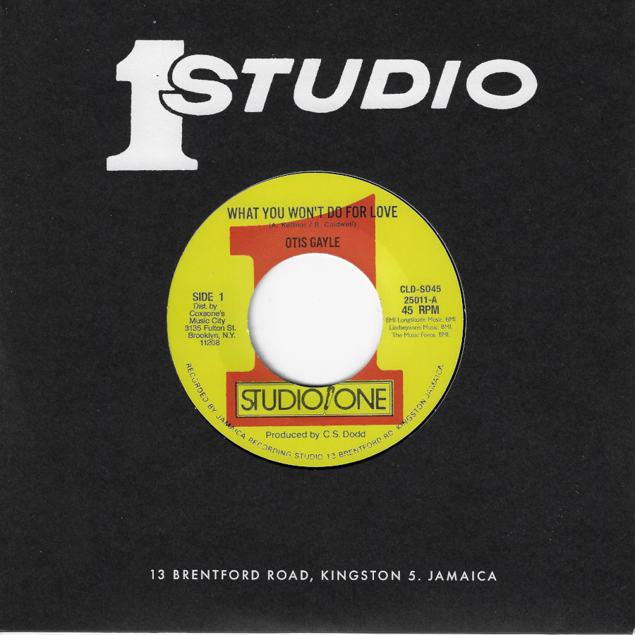 What You Won't Do For Love / What You Won't Version