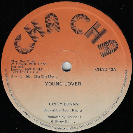 Young Lover / Him A Natty Dread