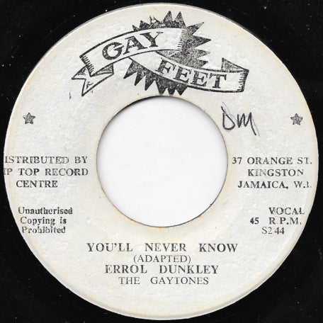 You'll Never Know / Ver