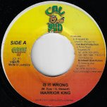 Is It Wrong / Ver - Warrior King