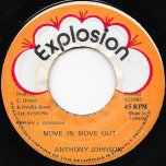 Move In Move Out / Ver - Anthony Johnson