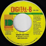 Waste My Time / Gully Gully Ver - Ras Shiloh