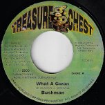 What A Gwan / Reflection Ver - Bushman / Dalton Browne
