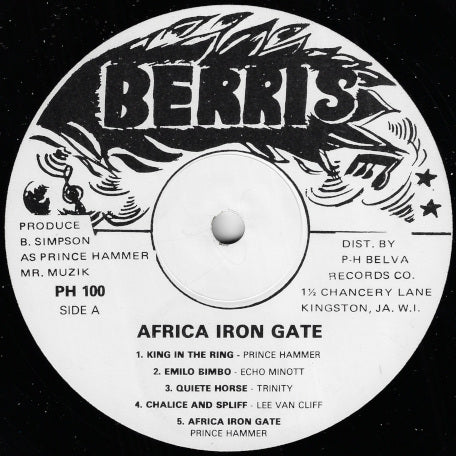 Africa Iron Gate Showcase