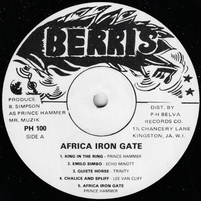 Africa Iron Gate Showcase