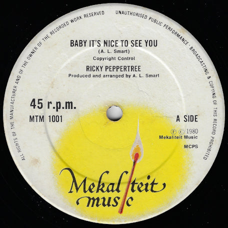 Baby Its Nice To See You / Inst