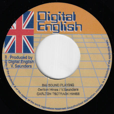 Big Sound Playing / Dubwise