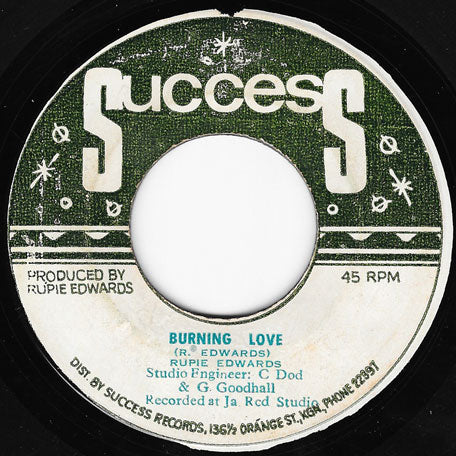 Burning Love / Im Writing Again